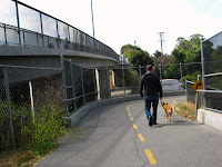 Stevens Creek Shoreline Trial 010.JPG Photo