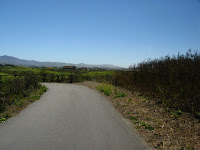 Half Moon Bay Coastal Trail 287.JPG