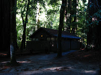 Big Basin Redwoods State Park 014.JPG Photo