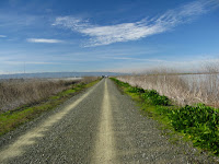 BayLands to BayFront 35M Bike Ride 034.JPG Photo