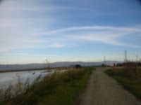 BayLands to BayFront 35M Bike Ride 089.JPG Photo