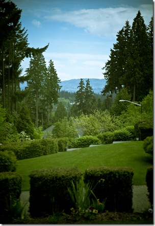 IMG_2150 IMG_2150