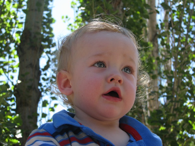 [IMG_22223.jpg]