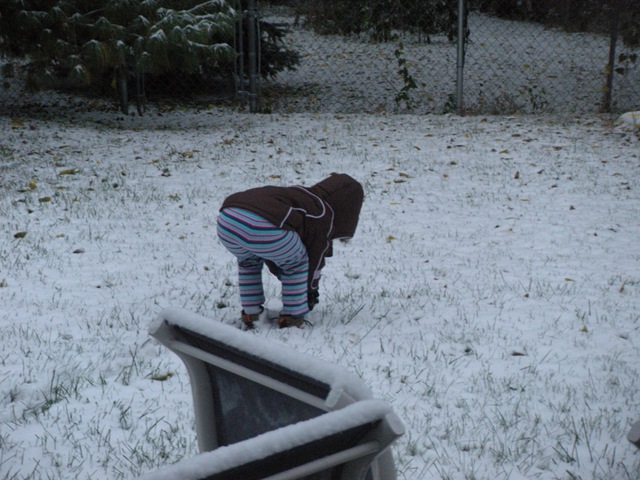 [snow and sewing expo 003[2].jpg]