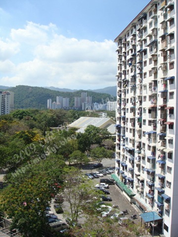 [DSC03749 640 x 640[3].jpg]