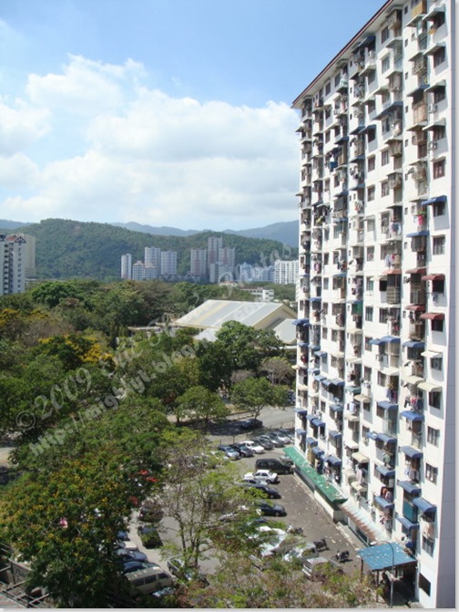 DSC03749 640 x 640