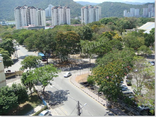 DSC03752 640 x 640