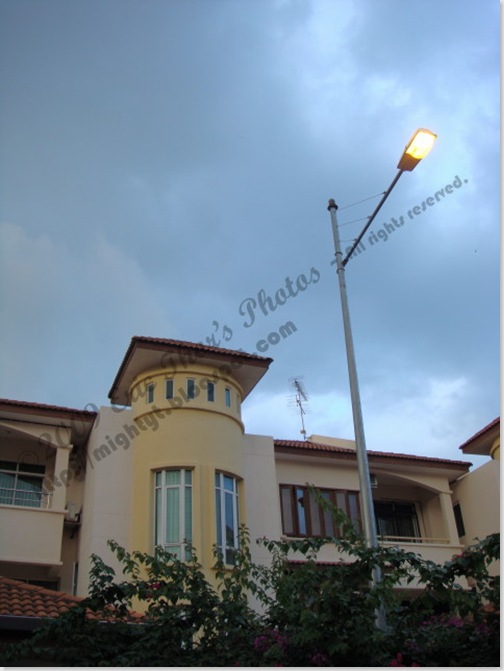 DSC03833 640 x 640