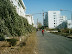 Campus at changshi