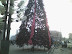 christtree (Medium).jpg