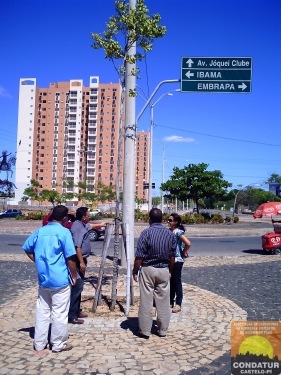 [curso_transplatio_chines3[3].jpg]