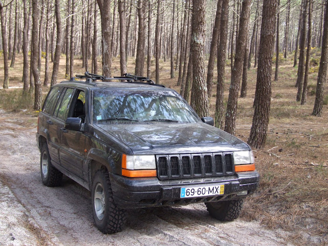 2009_03150050.JPG