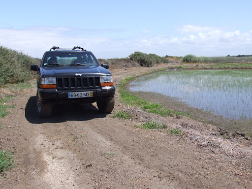 DSCF2900.JPG