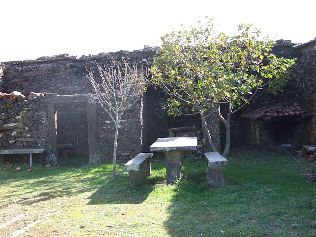 DSCF8870.JPG