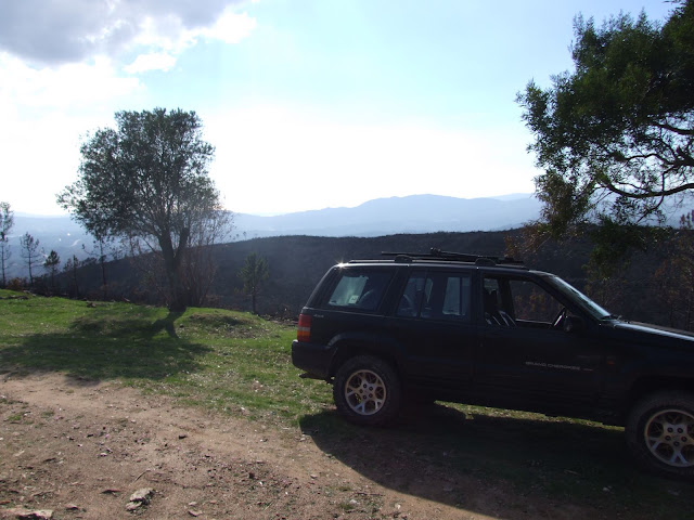 DSCF8880.JPG