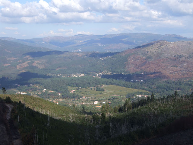 DSCF8881.JPG