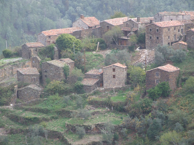DSCF9164.JPG
