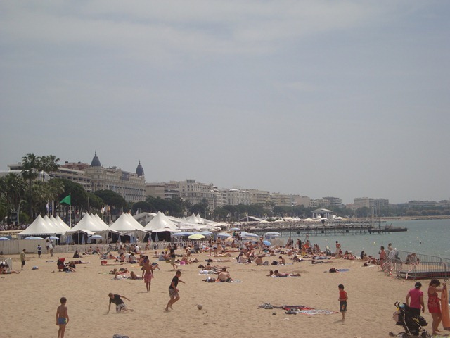 [DSC029454.jpg]