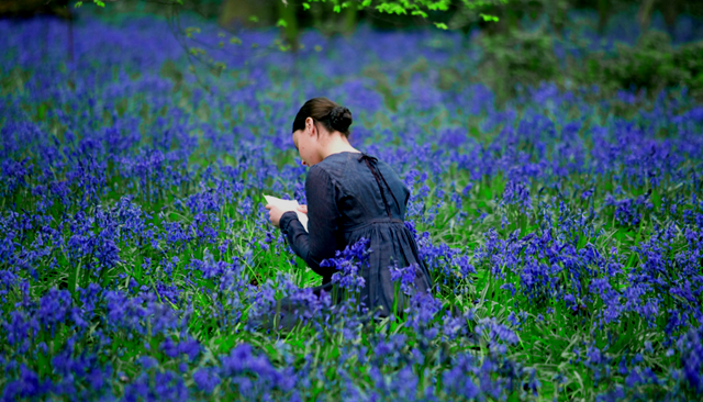 [Bright Star 13[8].png]
