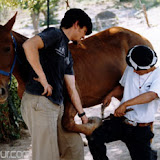 Argentine 2004