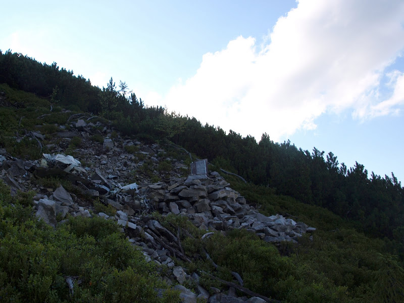 P8087201.JPG