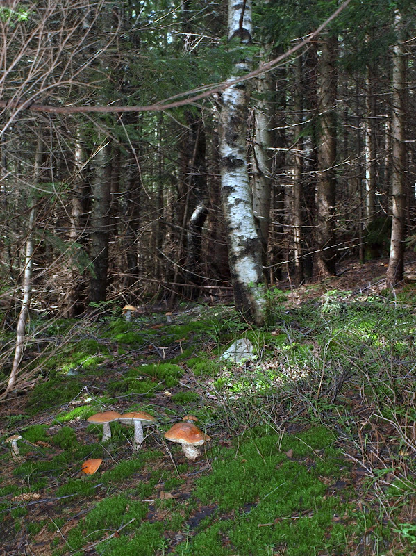 P8087167.JPG