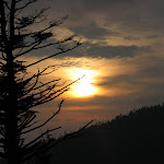 2007_Smokies_220.JPG