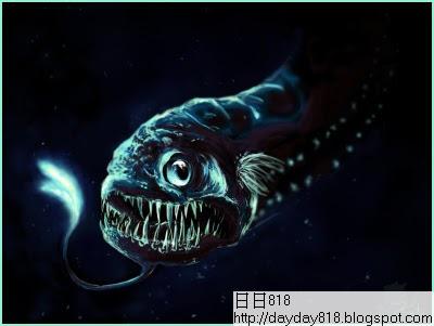 日本海域新物種 深海龍魚