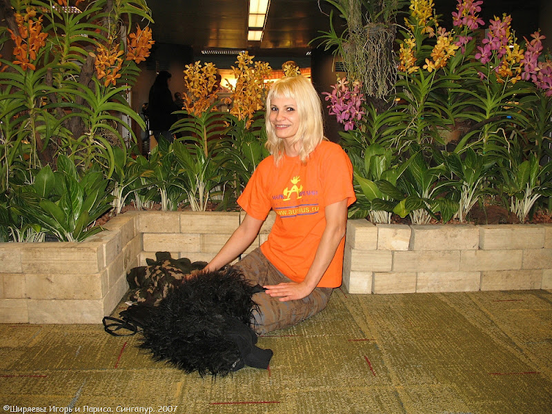 О Сингапуре 