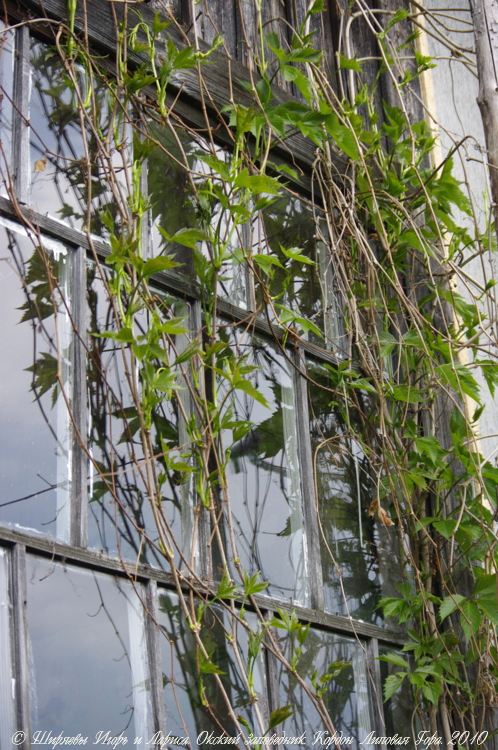 Кордон «Липовая Гора» 