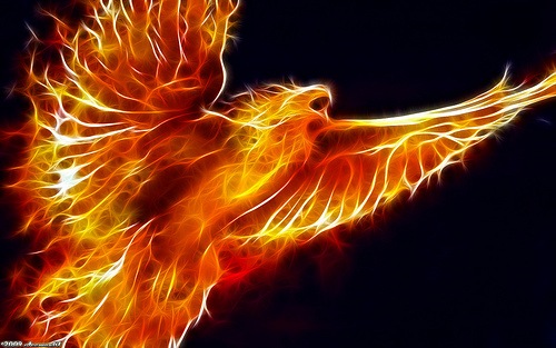 [Fênix[20].jpg]