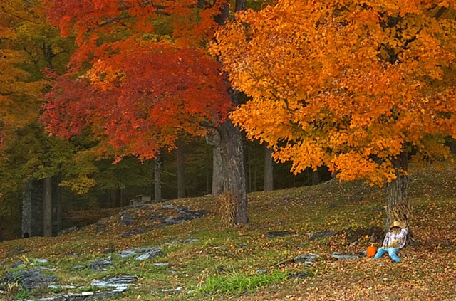 [Vermont Autumn Cliche[2].jpg]