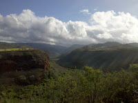 Canyon bottom