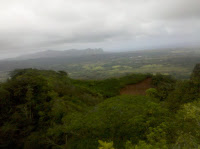From near the top