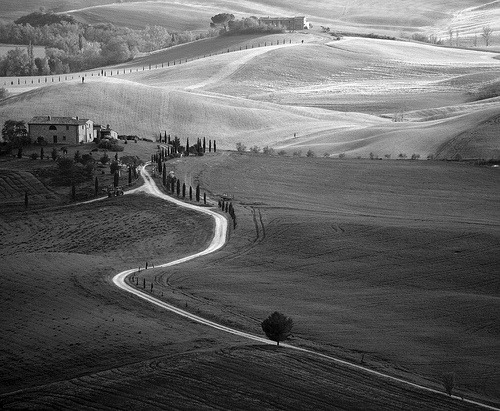 bw-plains-path