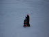 Playing in the Snow