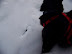 Playing in the Snow
