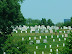 AF Memorial May 2010