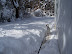 Snowpocalypse 2010