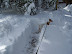 Snowpocalypse 2010