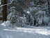 Snowpocalypse 2010