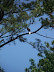 Jamestown Settlement in May