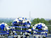 Arlington and the Airforce Memorial with the Reads