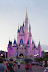 Magic Kingdom