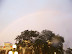 Magic Kingdom
