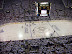 Penguin vs. Capitals Playoff Game