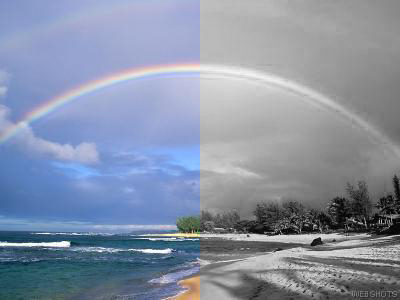 rainbowpic.jpg