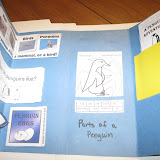 Inside of penguin mini-lapbook