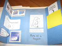 Inside of penguin mini-lapbook