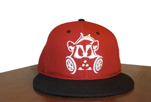 [Skunk_Hat_Store[3].jpg]